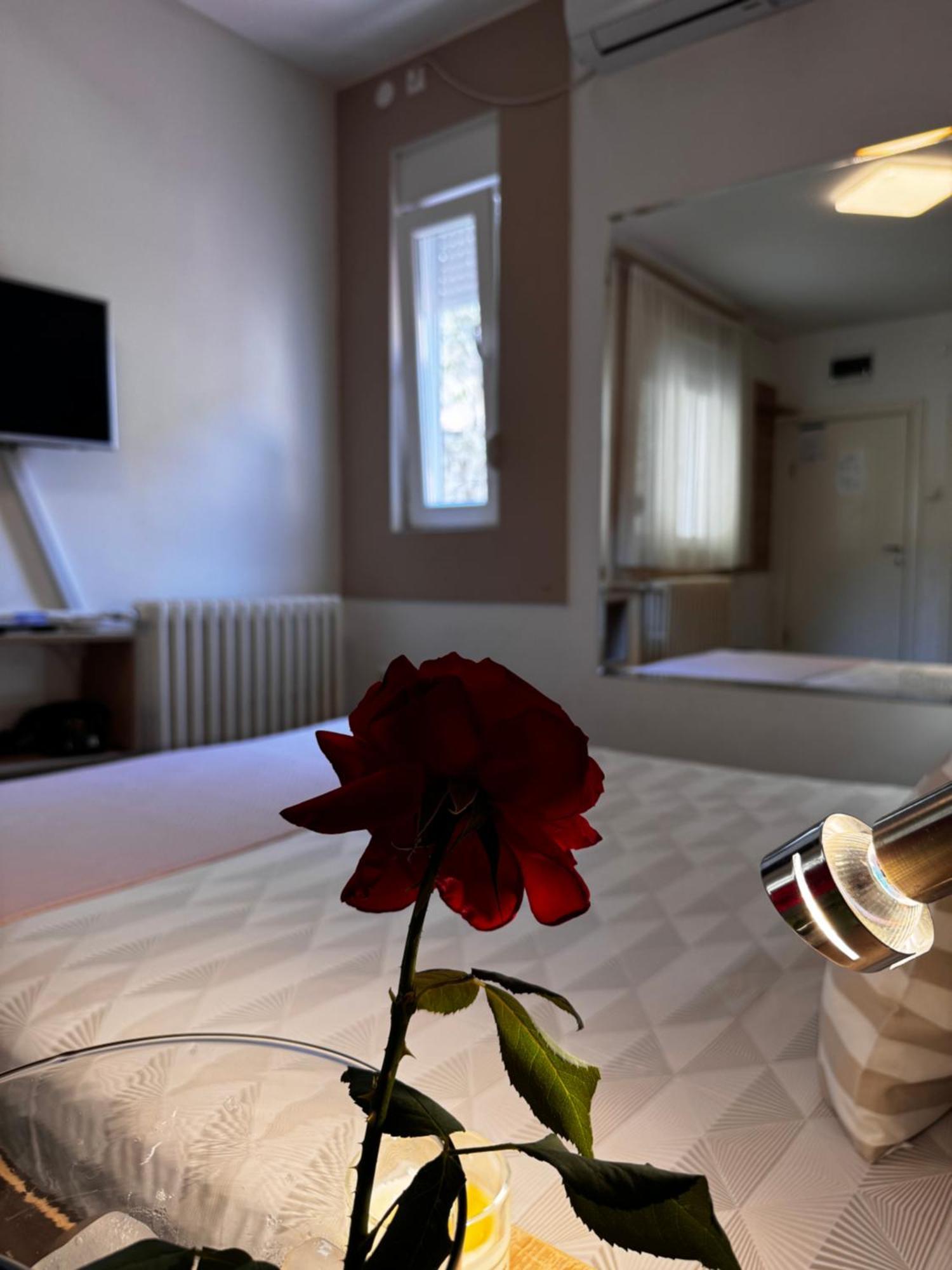 Post Apartmani A-1 Novi Sad Dış mekan fotoğraf